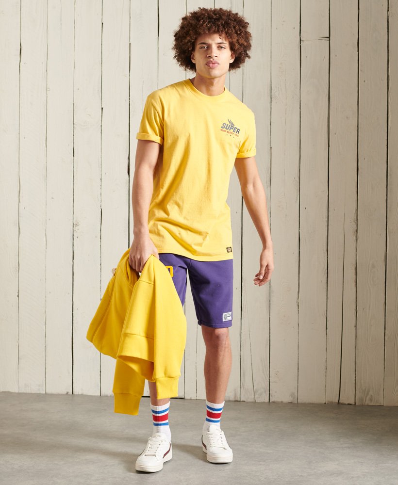 Boho Box Fit Graphic TShirt Superdry