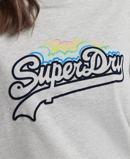 Vintage Logo Rainbow T Shirt Grey Marl W1010871A 07Q 3