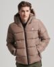 Hooded Sports Puffer Jacket Fossil Brown M5011827A 8KO 1