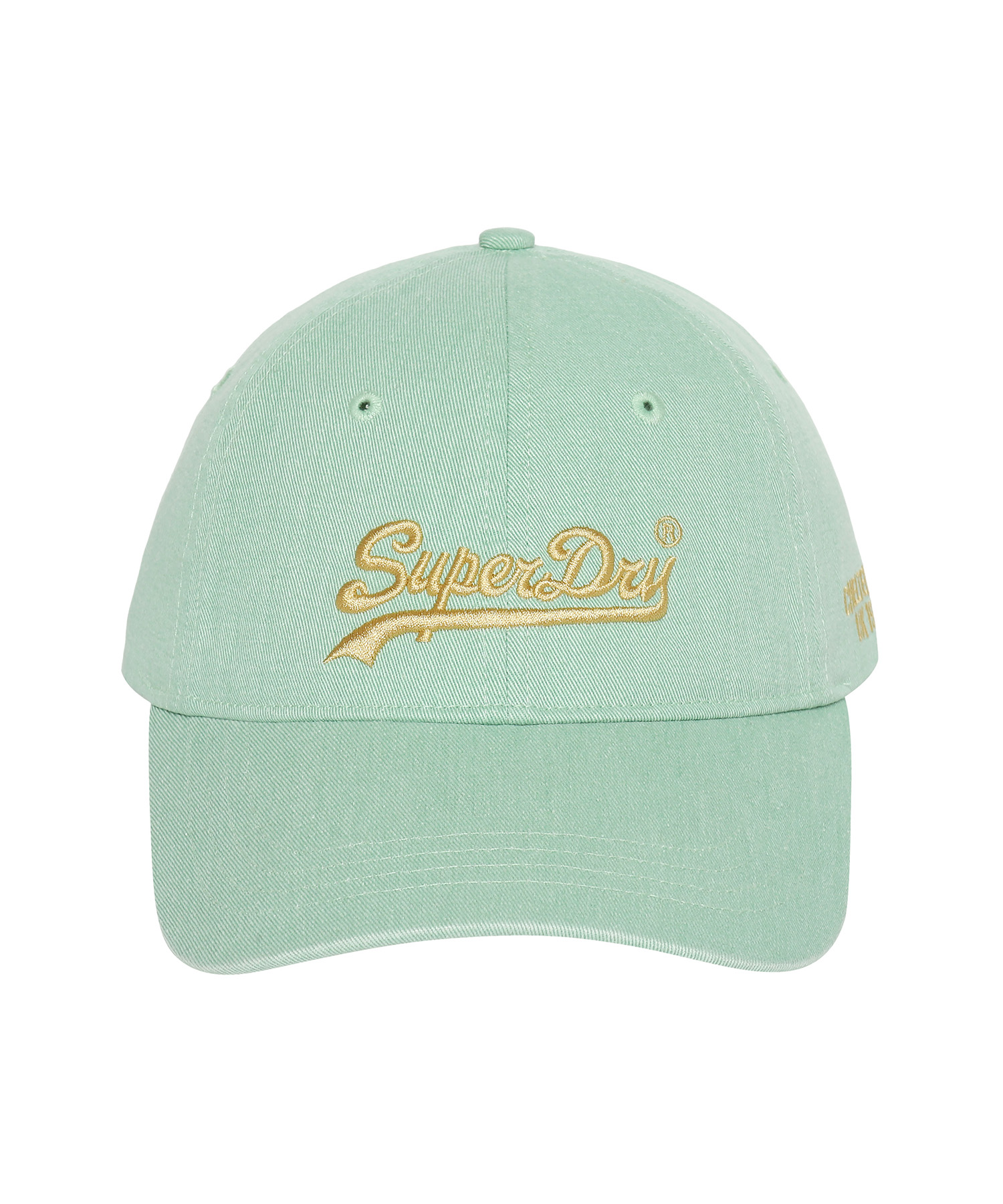 PIGMENT VINTAGE LOGO BALL CAP LGREEN F SDUGQYP01 KLGN 1