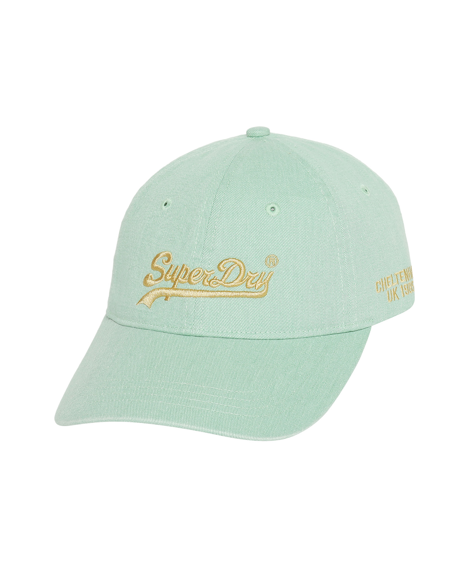 PIGMENT VINTAGE LOGO BALL CAP LGREEN F SDUGQYP01 KLGN 2