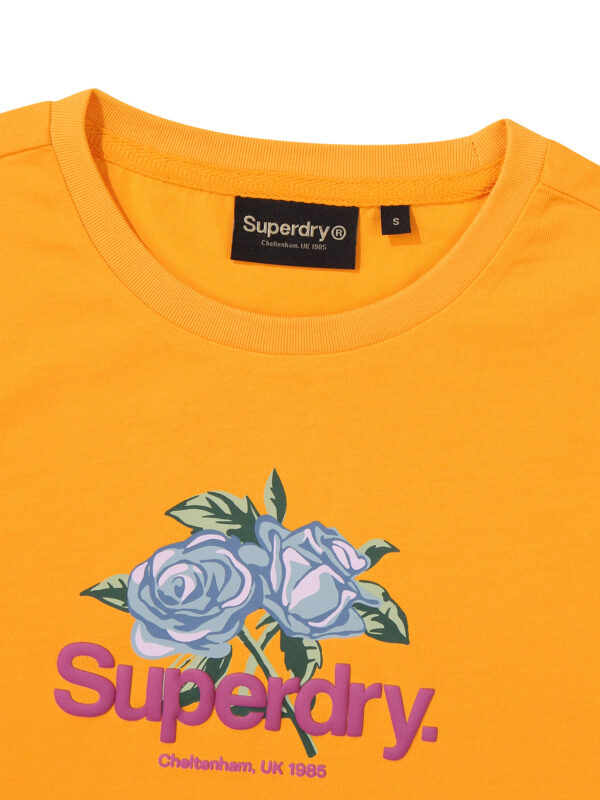 SDFISCP07DYE MU 03
